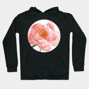 Blush Hoodie